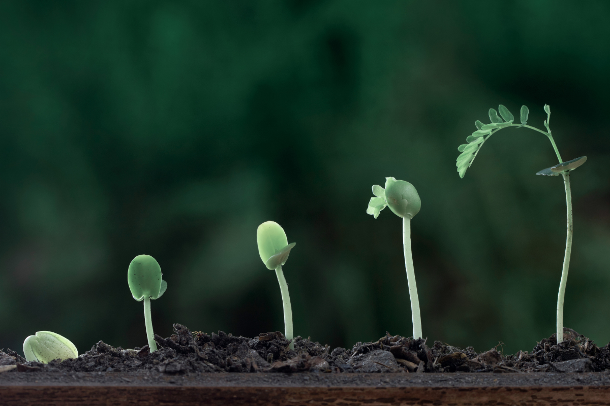 Designated Funds Stewardship